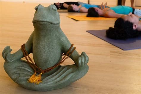 laughing frog yoga|laughing frog yoga los angeles.